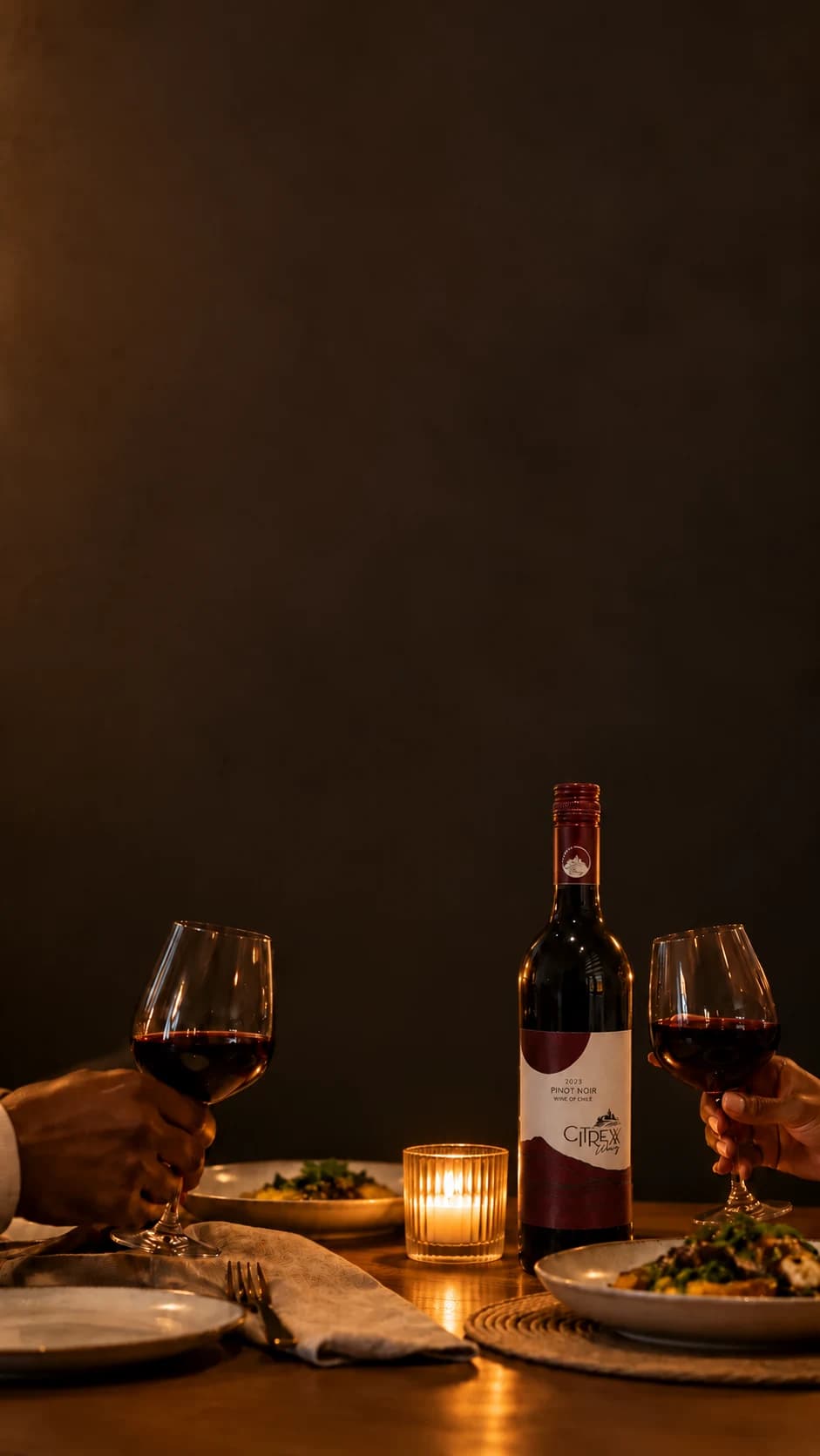 Citrexx Pinot Noir between two guests toasting at dinner